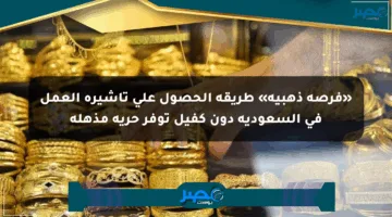 «فرصة ذهبية» طريقة الحصول على تأشيرة العمل في السعودية دون كفيل توفر حرية مذهلة